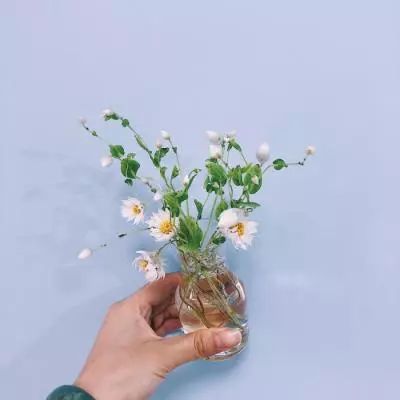 永进everforward手机版